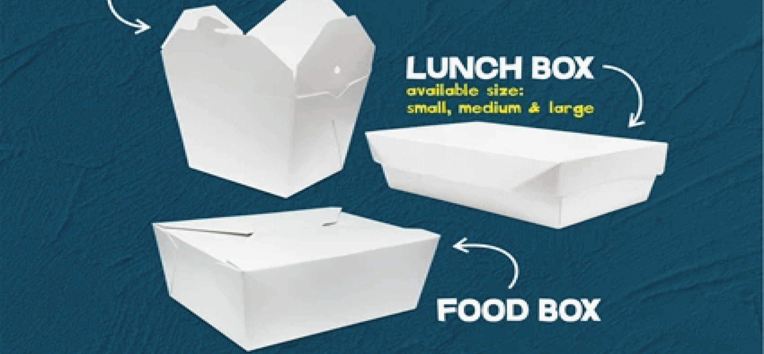 Jenis Jenis Kemasan Lunch Box