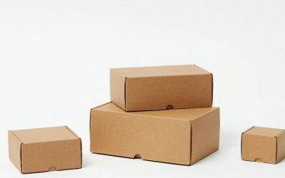 Box Makanan Bukan Sekadar Wadah