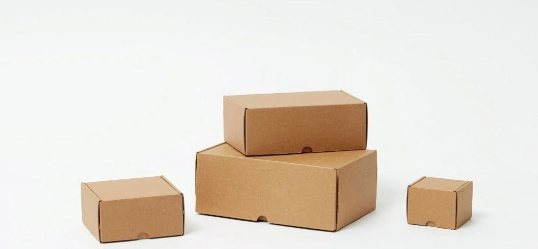 Box Makanan Bukan Sekadar Wadah